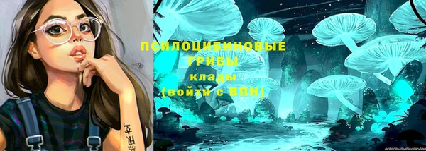 мескалин Касимов