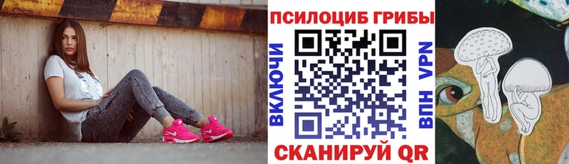 Купить закладки  Снежинск  Галлюциногенные грибы мицелий 